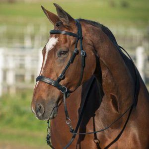 Horze Ravenna Bitless Bridle