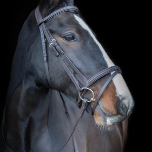 Cameo Comfort Bridle