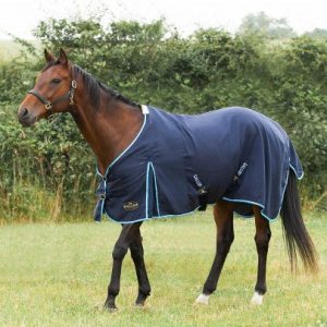 Gallop Summer Sheet