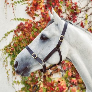 Mackey Equisential Leather Headcollar