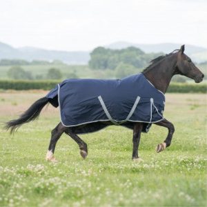 Gallop Trojan 300G Turnout Rug