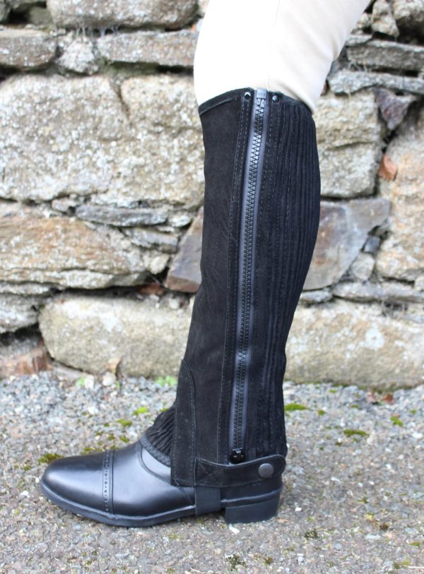 Equisential Suede Half Chaps - Adults