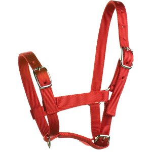 HKM FOAL HEADCOLLAR