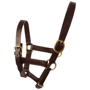 Foal Headcollar