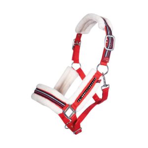 HKM Halter Equine Sports Style