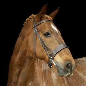 Hunter Bridle