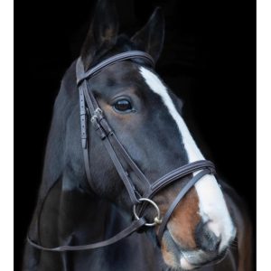 Cameo Anatomic Classic Bridle