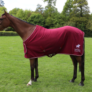 Chukka Fleece Rug