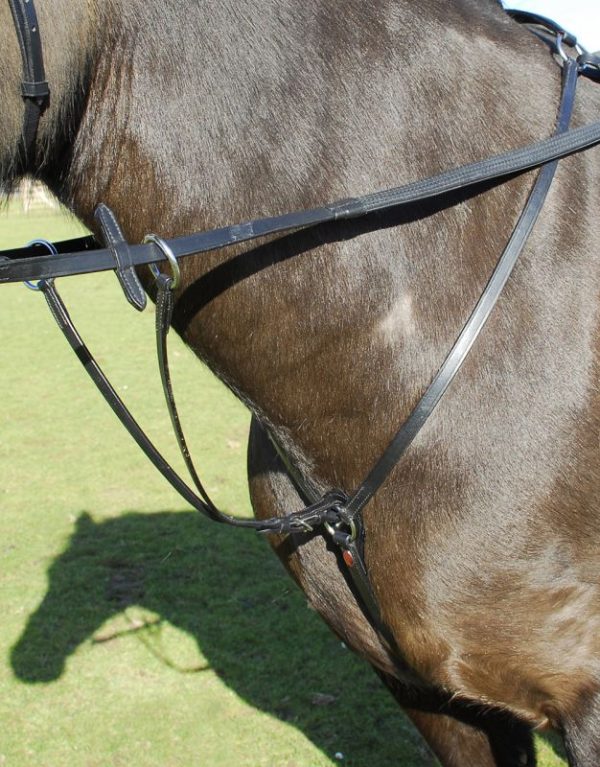 Leather breastplate