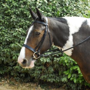 Leather hunter bridle with wide cavesson noseband