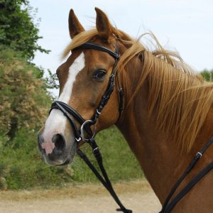 Leather bridle with flash noseband