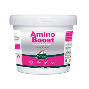 Amino boost - 3kg