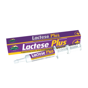 Lactese plus - 30ml